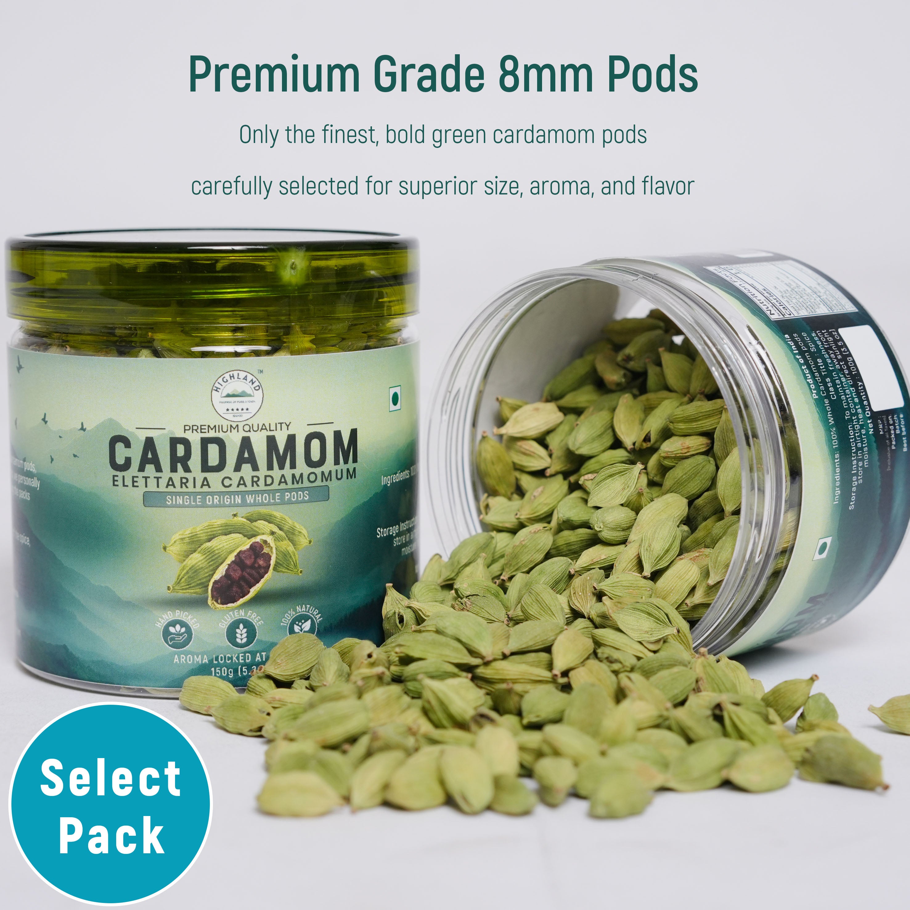 Cardamom 8mm++ Whole Bold Pods (100g)
